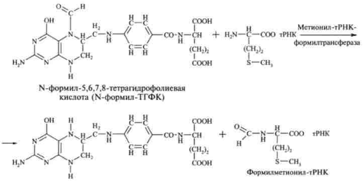 Перенесення формільной групи
при біосинтезі формілметіоніл-тРНК