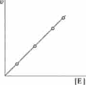 Залежність швидкості реакції v від концентрації ферменту Е