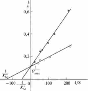 Графік Л ай нуи віра-Берка для визначення К в реакціях ліполізу крупно-і дрібнодисперсних емульсій