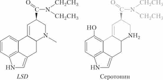 Подібність структур LSD і серотоніну