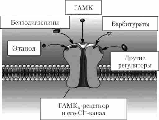 Схема рецептора для гамма-аміномасляної кислоти (ГАМК)