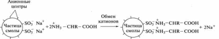Принцип іонообмінної хроматографії - обмін іонами амінокислот на смолах