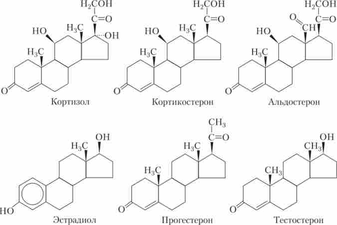 Хімічні структури деяких стероїдів, що виробляються в кірковому шарі надниркових залоз і в статевих залозах