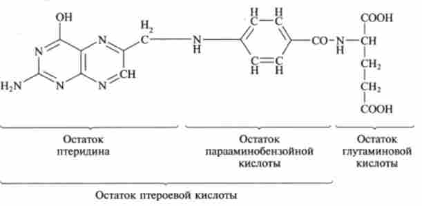 Структура птероілмоноглутаміновой кислоти