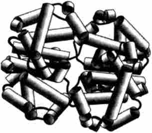 Четвертичная структура гемоглобіну (по PDB-2001) (Sutherland-Smith, A. J., Baker, Н. т., Hofmann, О. М., Brittain, Т., Baker, Е. N