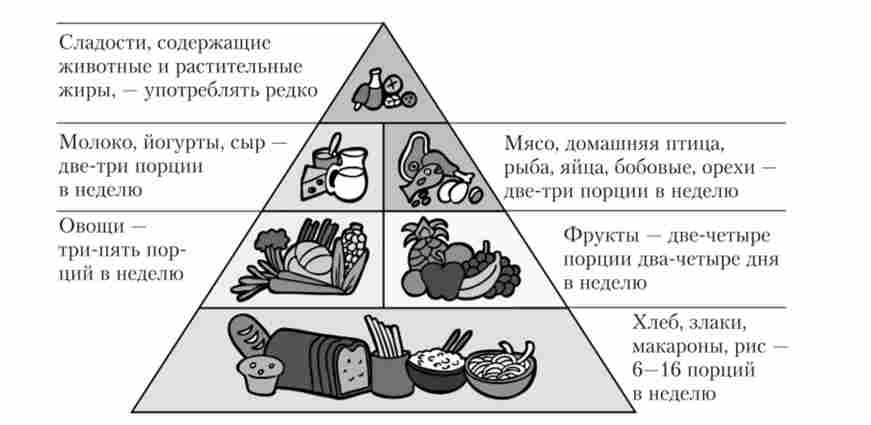 «Харчова піраміда»